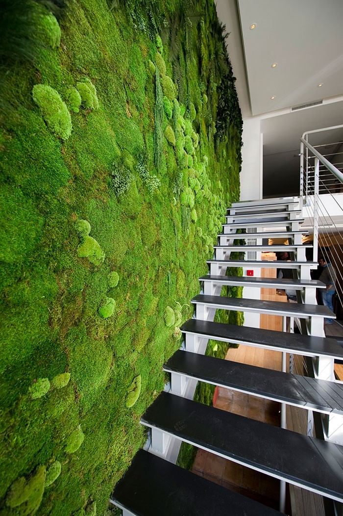 moss-walls-green-interior-design-trend-91__700