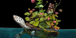 Союз флоры и фауны в гиперреалистичных картинах Лизы Эриксон